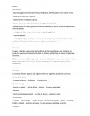 Apuntes sistema financiero