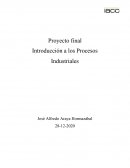 Proyecto final Introducción a los Procesos Industriales
