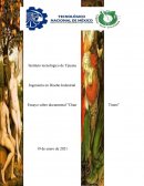 Ensayo sobre documental "Chair Times"