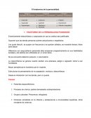 Trastornos de la personalidad