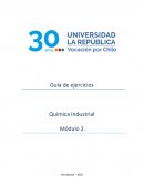 Guia de ejercicios Módulo 2 Quimica Industrial