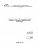 ESTRATEGIAS MOTIVACIONALES PARA LA OPTIMIZACIÓN DEL DESEMPEÑO LABORALDE LOS TRABAJADORES DEL HOTEL CABAIGUAN C.A. UBICADO EN EL MUNICIPIO SAN FELIPE