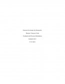 Gerencia de sistemas de información