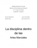 La disciplina dentro de las Artes Marciales