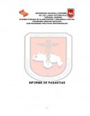 Informe de pasantias siencias sociales