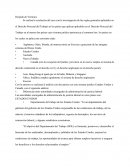 CASO PRACTICO Despido de Verónica