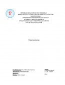 Neurociencias. Concepto propio de Neurociencia