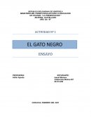 EL GATO NEGRO(ENSAYO)