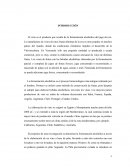 FERMENTACION DE PIÑA