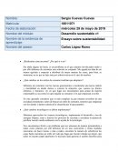Ensayo sobre sustentabilidad