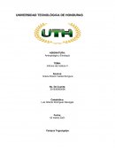 TAREA 2 ANTROPOLOGIA