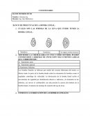 BANCO DE PREGUNTAS DE LA BOMBA LINEAL