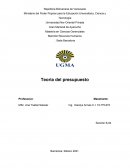 TEORIA DEL PRESUPUESTO