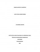 MANIPULACION DE ALIMENTOS