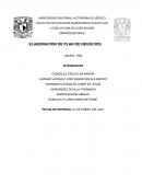 PLAN DE NEGOCIOS “Raíces de mi Tierra”