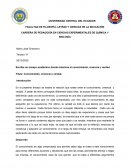 La relación el conocimiento, creencia y verdad