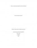 Informe y características básicas del comercio electrónico