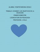 TRABAJO: CHOMSKY LOS OBJETIVOS DE LA EDUACION