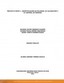 IDENTIFICACIÓN DE PELIGROS, SU VALORACIÓN Y EL CONTROL DE RIESGOS