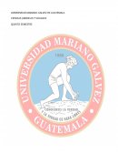 TECNICAS DE PRESENTACIÓN EN PÚBLICO EL DISCURSO