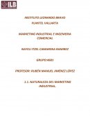 MARKETING INDUSTRIAL E INGENIERIA COMERCIAL