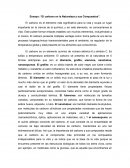Ensayo: “El carbono en la Naturaleza y sus Compuestos”