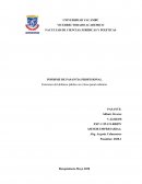 Funciones del defensor público en el área penal ordinario