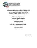 Tipos e Importancia del Cliente