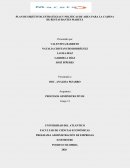 PLAN DE OBJETIVOS, ESTRATEGIAS Y POLITICAS DE AREA PARA LA CADENA DE RESTAURANTES MARETA