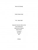 Investigacion Loderazgo