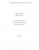 PROCESOS DE APRENDIZAJE Y METODOS DE EVALUACION