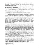 PRÁCTICA 3. TÉCNICAS PARA EL AISLAMIENTO Y PURIFICACIÓN DE COMPUESTOS ORGÁNICOS