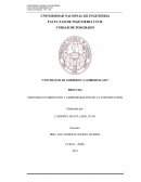 Contratos G2G y contratos NEC: Herramientas para la contratación pública en el Perú