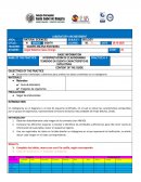 GUÍA DE LABORATORIO 8vo