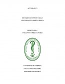 INGENIERÍA DE SISTEMAS