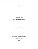 GESTION DE PROYECTOS
