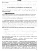 SUPERESTRUCTURAS TEXTUALES