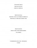 Marketing de excelencia (Nike)