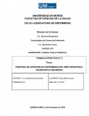 PAE Proceso de Atención de Enfermería. Cuidados Críticos Pediátricos