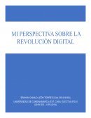 MI PERSPECTIVA SOBRE LA REVOLUCIÓN DIGITAL