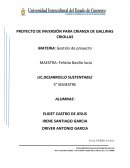 PROYECTO DE INVERSIÓN PARA CRIANZA DE GALLINAS CRIOLLAS