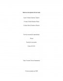 Informe descripción del mercado