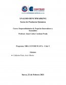 Emprendimientos de Negocios Innovadores y Sostenibles