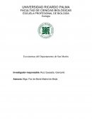 Ecosistemas del Departamento de San Martín