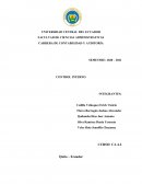 Modelos de Control Interno