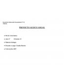 PROYECTO AULICO ANUAL