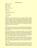 Análisis crítico el Amante japonés