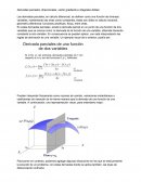 Derivadas parciales, direccionales, vector gradiente e integrales dobles