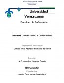 Informe cuantitativo. Clínica en la Atención Primaria de Salud