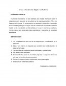 VALIDACION DE EXPERTOS